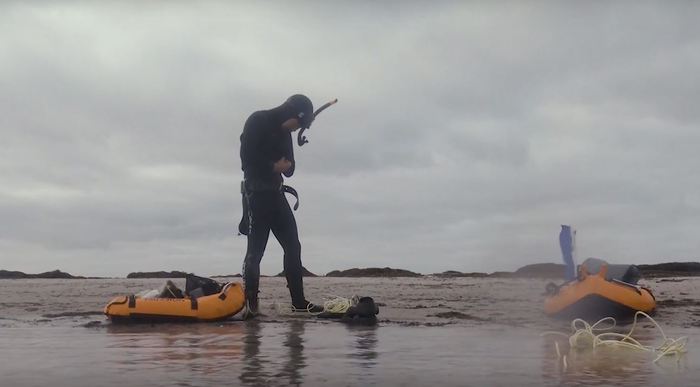 Måkläppen sandrev ved Falsterbohalvøens sydspids