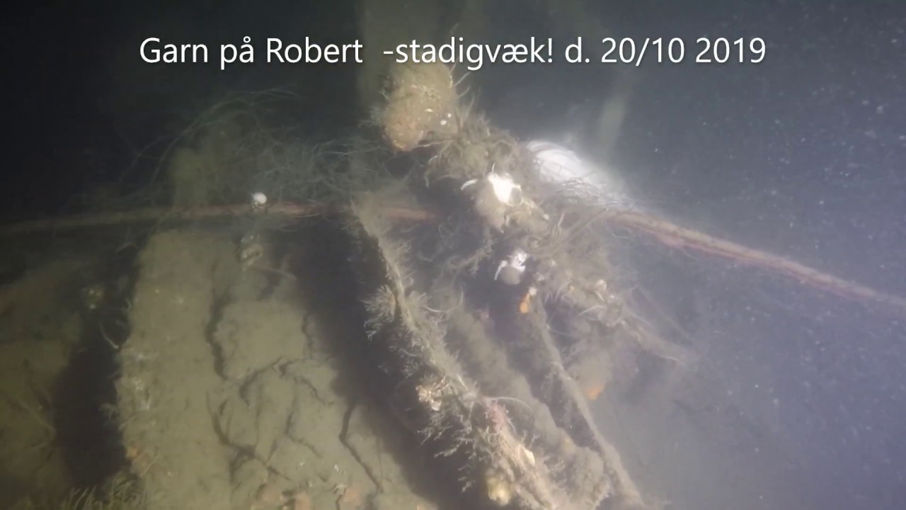 Vraket S/S Robert i Øresund